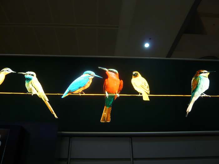 Publicité Orange — Aéroport D. Ben Gurion — Tel Aviv