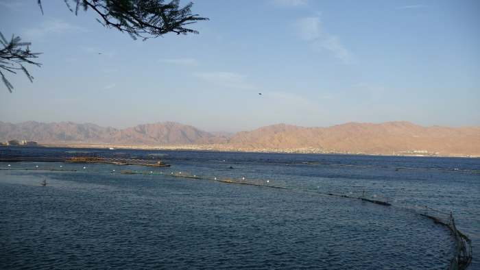 Dolphin Reef à Eilat