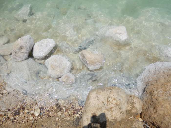 — rives de la mer morte - site de Ein Bokek - Israël —