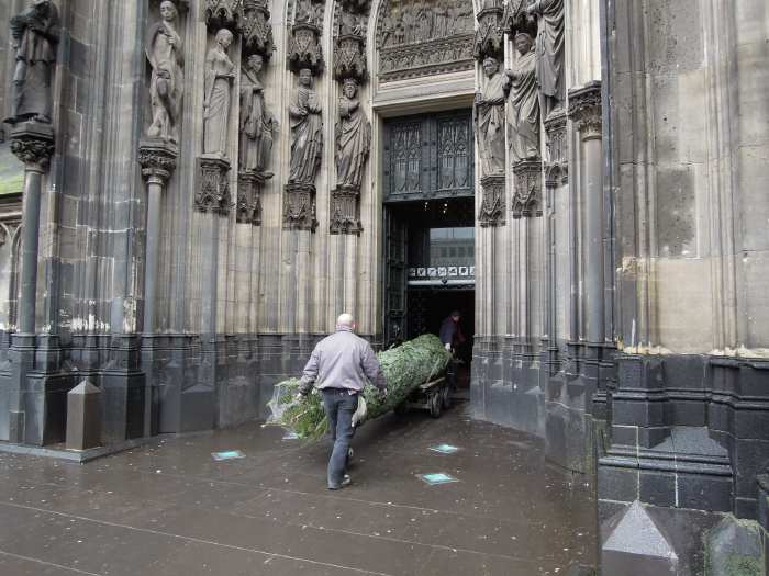 — Sapin en route vers l'autel - Cologne —