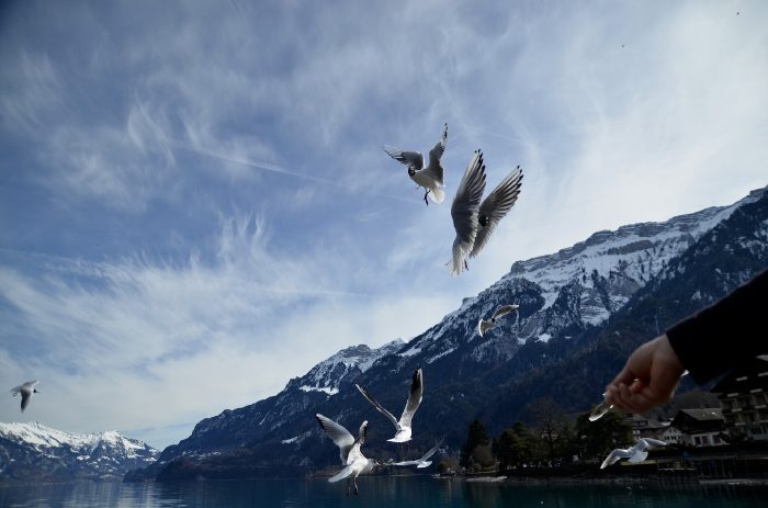 — Lac de Brienz — Interlaken/Bönigen — Canton de Berne —