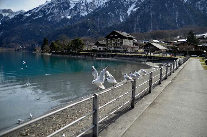 — Lac de Brienz — Interlaken/Bönigen — Canton de Berne —