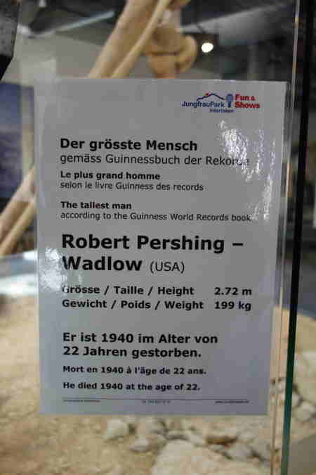 Robert Pershing Wadlow   