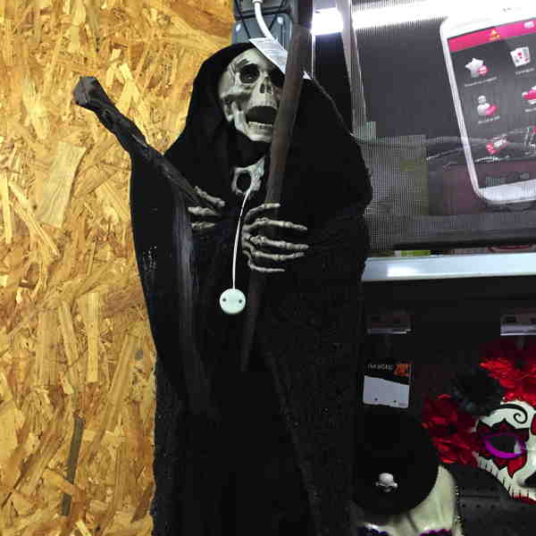 — Rayons dédiés à la "fête" d'Halloween —