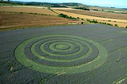 Crop circle