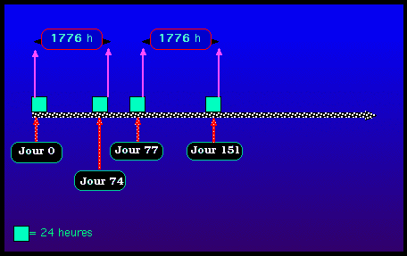 Snopsis 1776 - 74 - 77