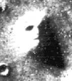 "Face de mars"