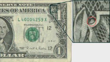 Chouette sur le dollar