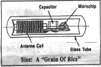 biochip