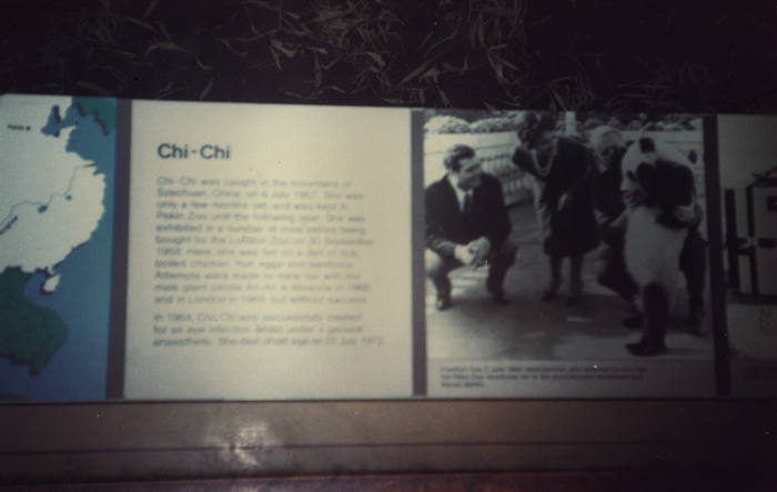 — Chi-Chi au British Museum - Londres —