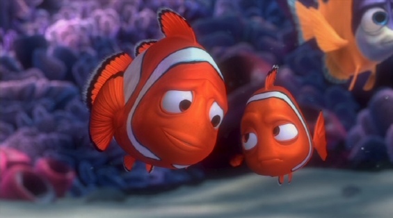 NEMO, fils de Marin