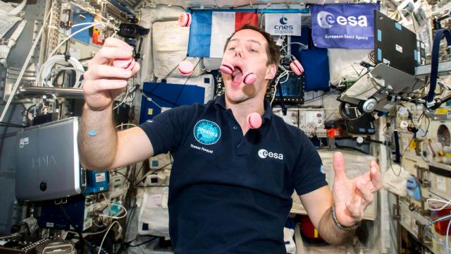 Thomas Pesquet dégustant des macarons pour son anniversaire le 27 février 2017