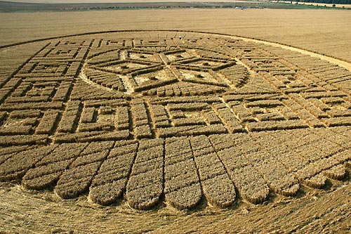Crop circle à Woolstone Hill