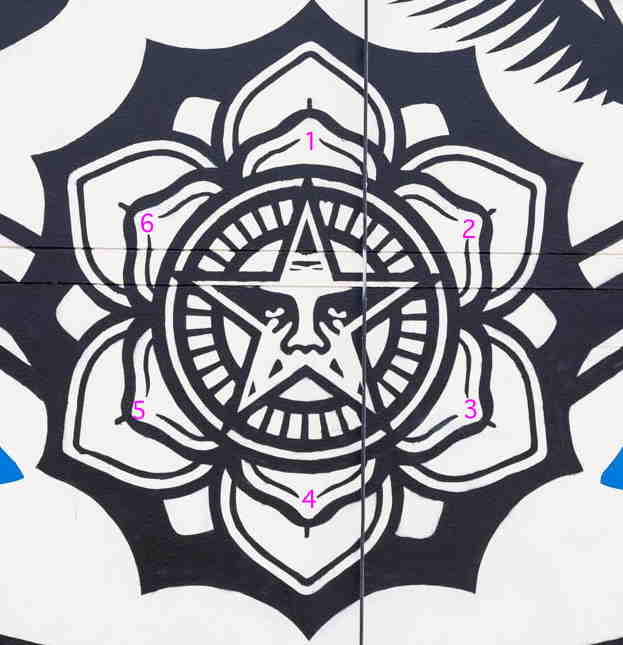 Détail en gros-plan de la fresque de S. Fairey: pétales 666