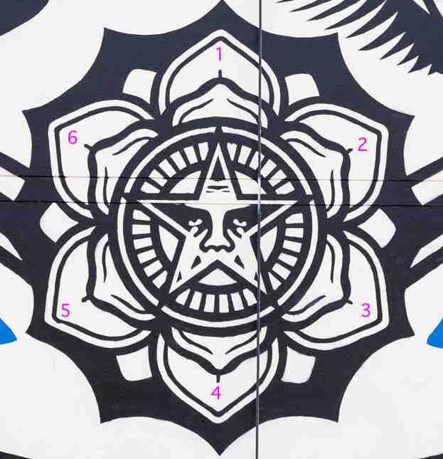 Détail en gros-plan de la fresque de S. Fairey: pétales 666