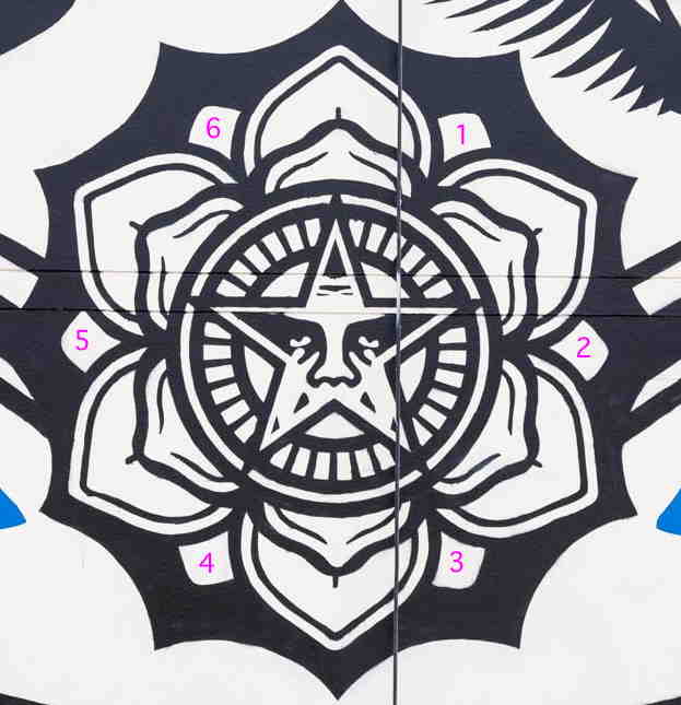Détail en gros-plan de la fresque de S. Fairey: pétales 666