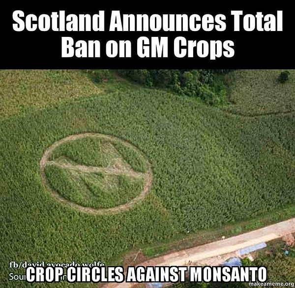 Crop circles anti Monsanto