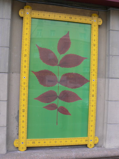 Cadre métrique et feuilles