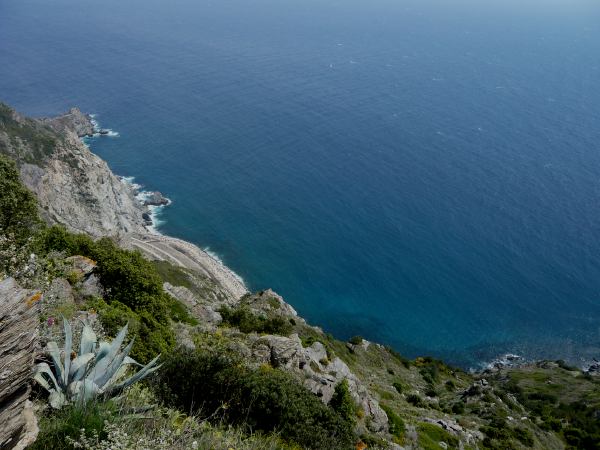 Cap du Sicié