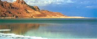 Rives de la mer morte