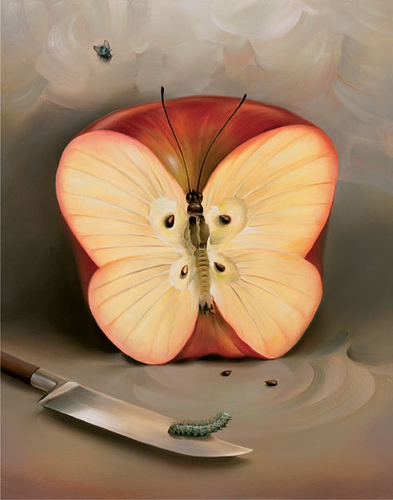 "pomme papillon"