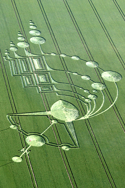 Crop circle découvert en dessous de (la colline) Milk Hill