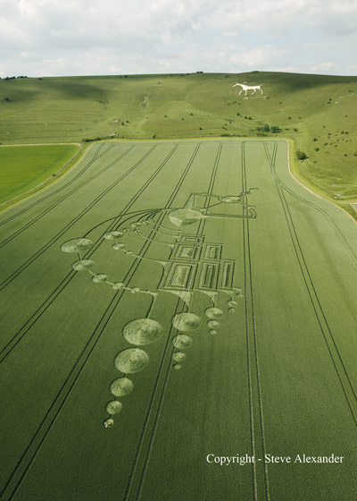 Crop circle découvert en dessous de (la colline) Milk Hill