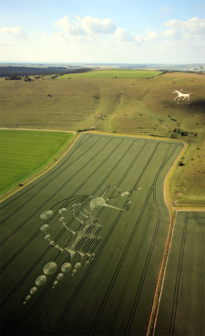 Crop circle découvert en dessous de (la colline) Milk Hill