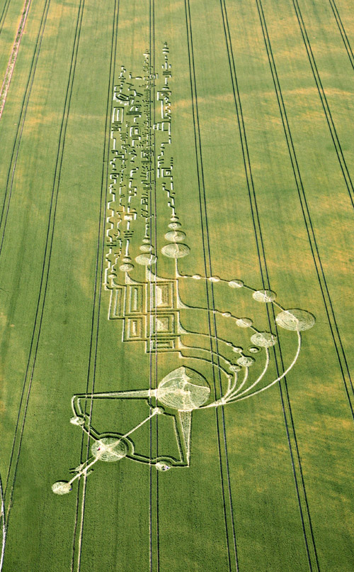 Crop circle découvert en dessous de (la colline) Milk Hill