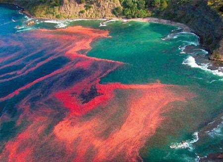 Le second versa sa coupe dans la mer. Et elle devint du sang