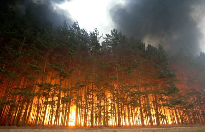 - Forêt en feu en Russie - Août 2010 - 