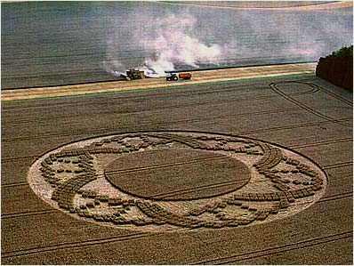 crop circles