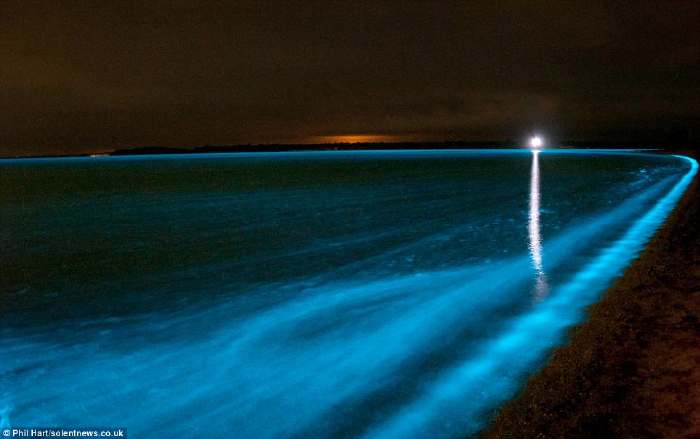 Bioluminescence d'un lac provoquée par une réaction chimique naturelle de micro-organismes