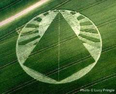 crop circle