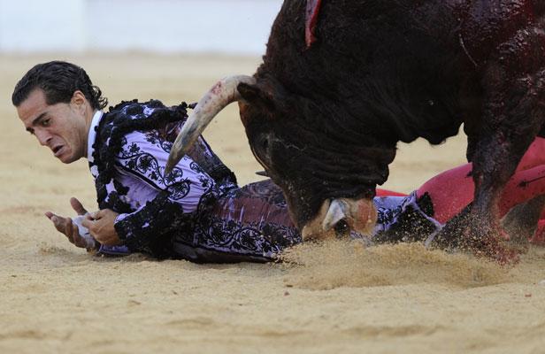 Le torero Ivan Fandino dans une mauvaise posture lors d'une corrida à Gijon, dans le nord de l'Espagne.