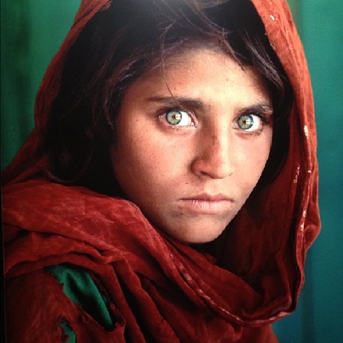 Portrait photographique de Sharbat Gula