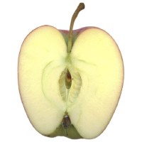 pomme tranchée en deux