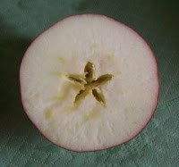 pomme tranchée en deux